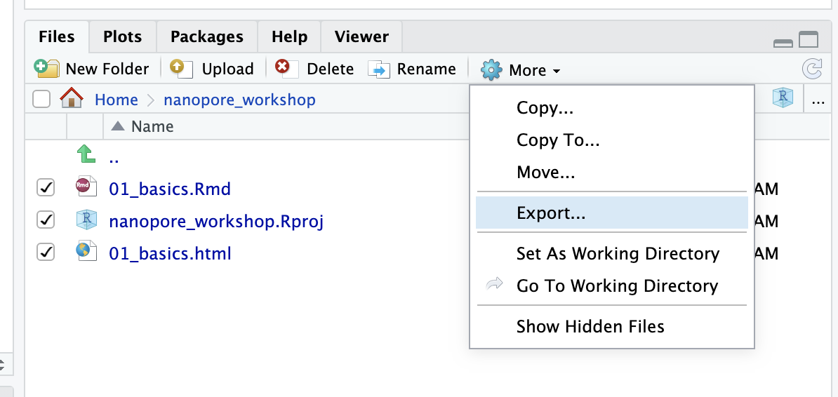 Rstudio Export