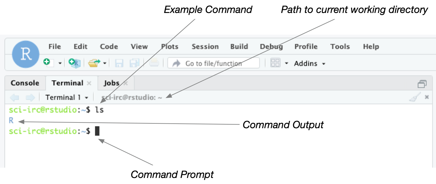 Rstudio terminal